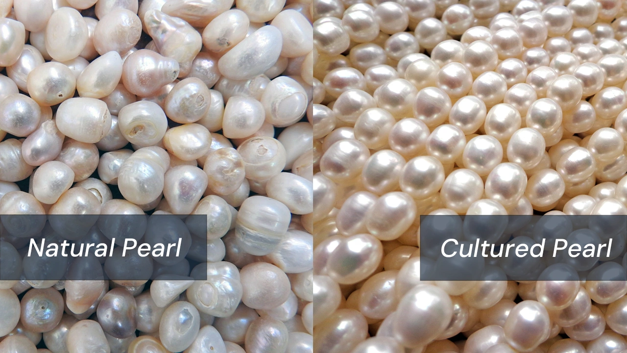 Natural Pearl vs Cultured Pearl